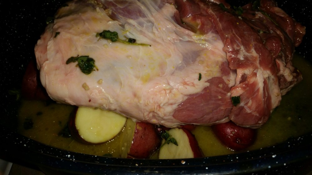 20141225_104845.jpg image