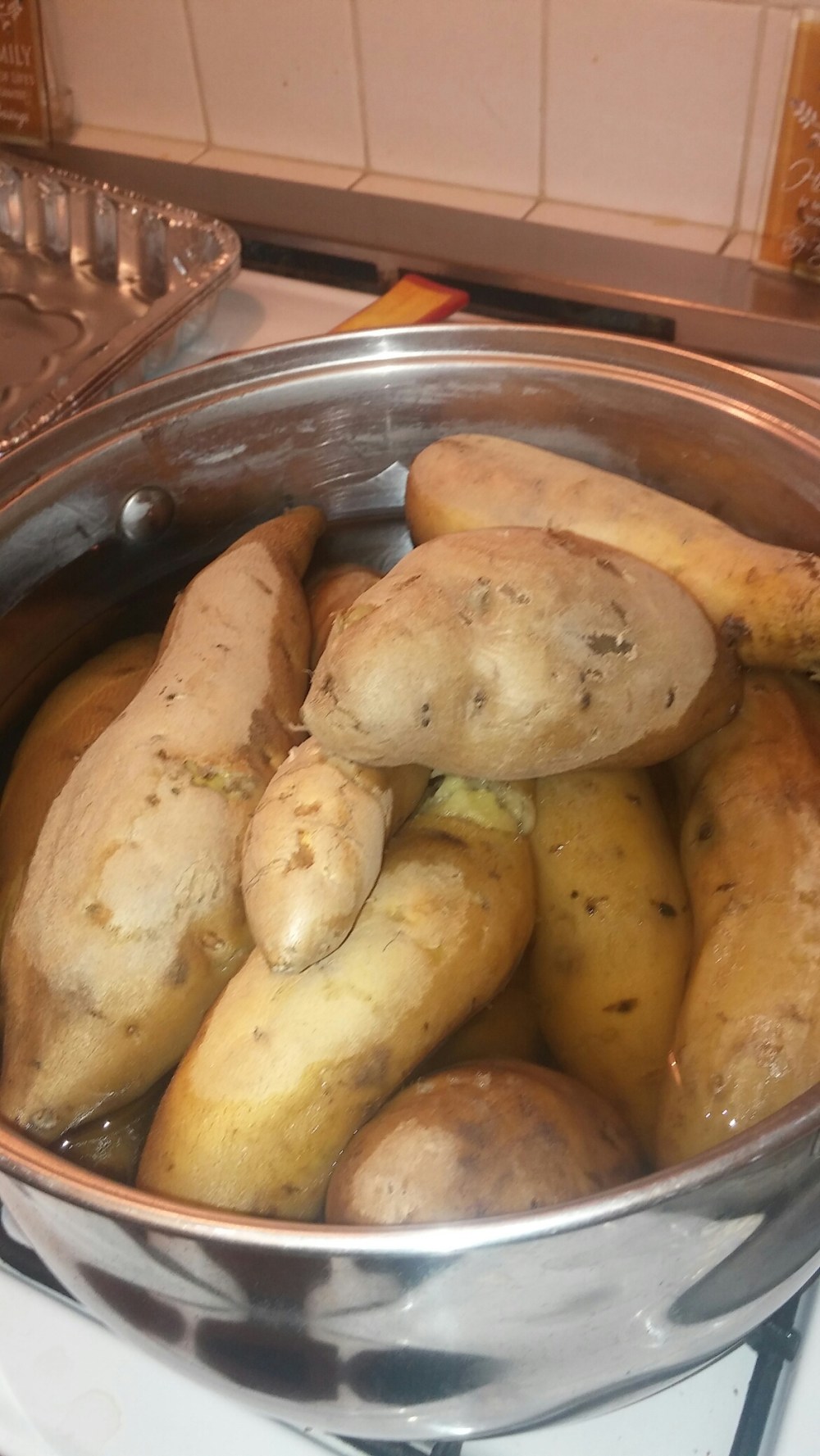 wp-1465446770611 image